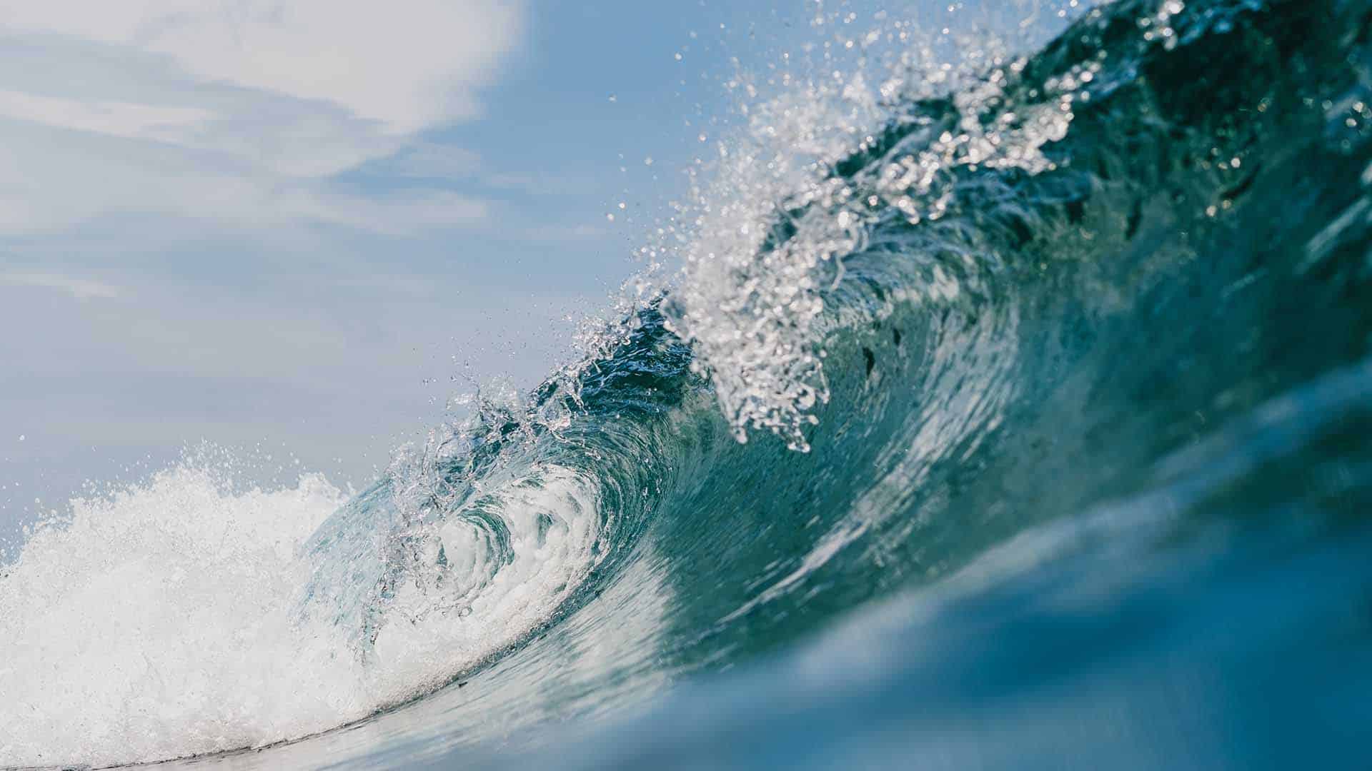 Kahve tarlalarında deniz dalgası sembolü