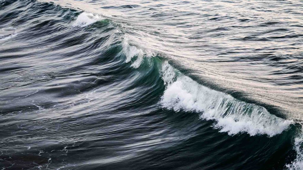 Kahve tarlalarında deniz dalgası sembolü